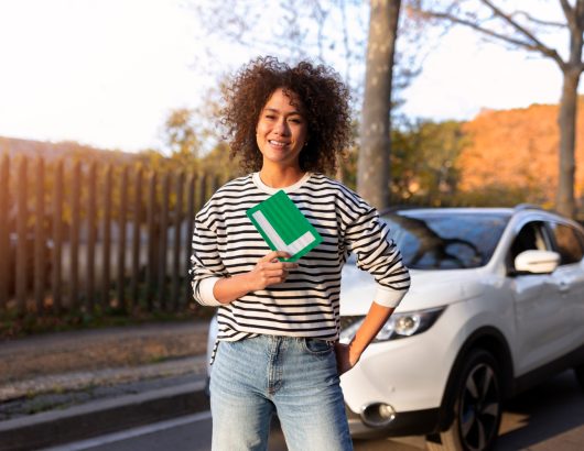 Driving Lessons